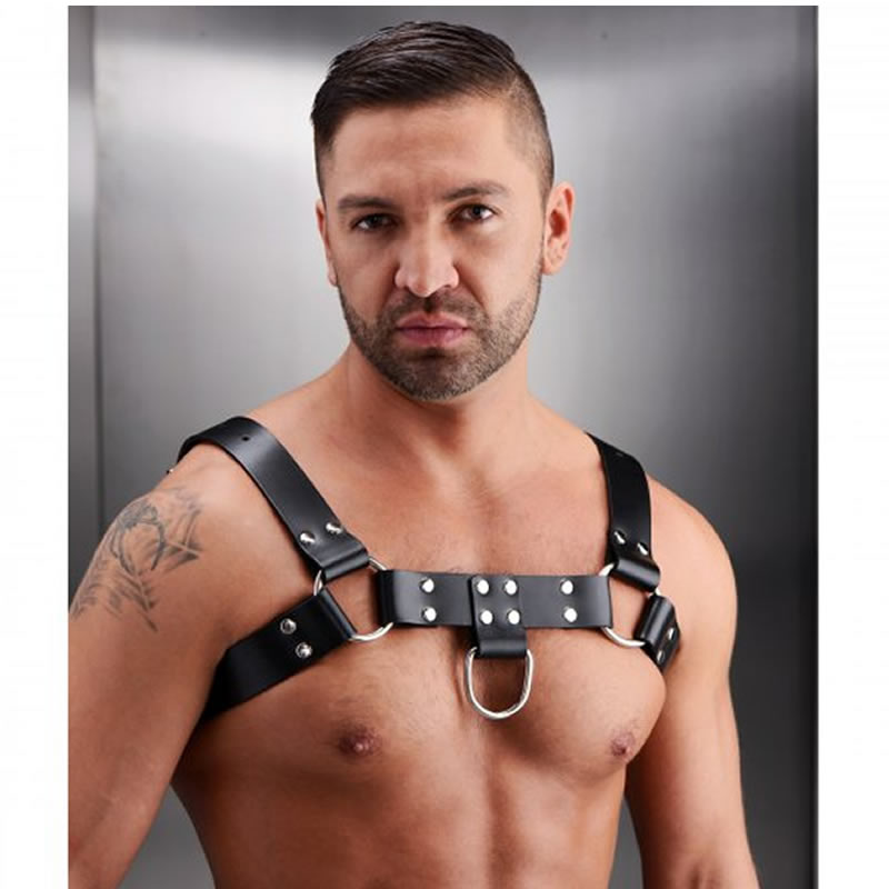 English Bull Dog Harness